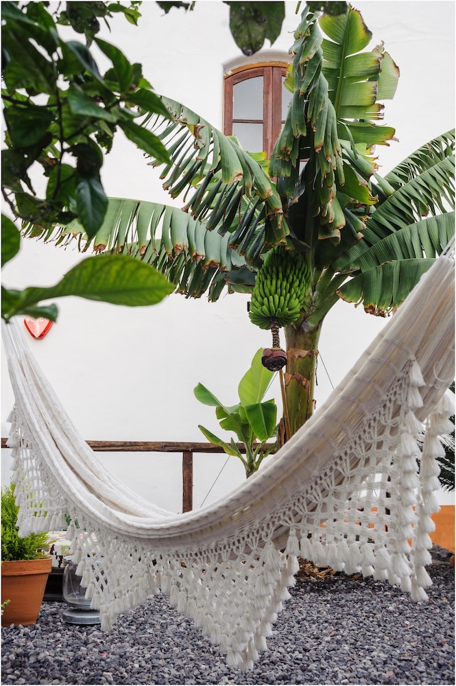 B&B Buenavista del Norte