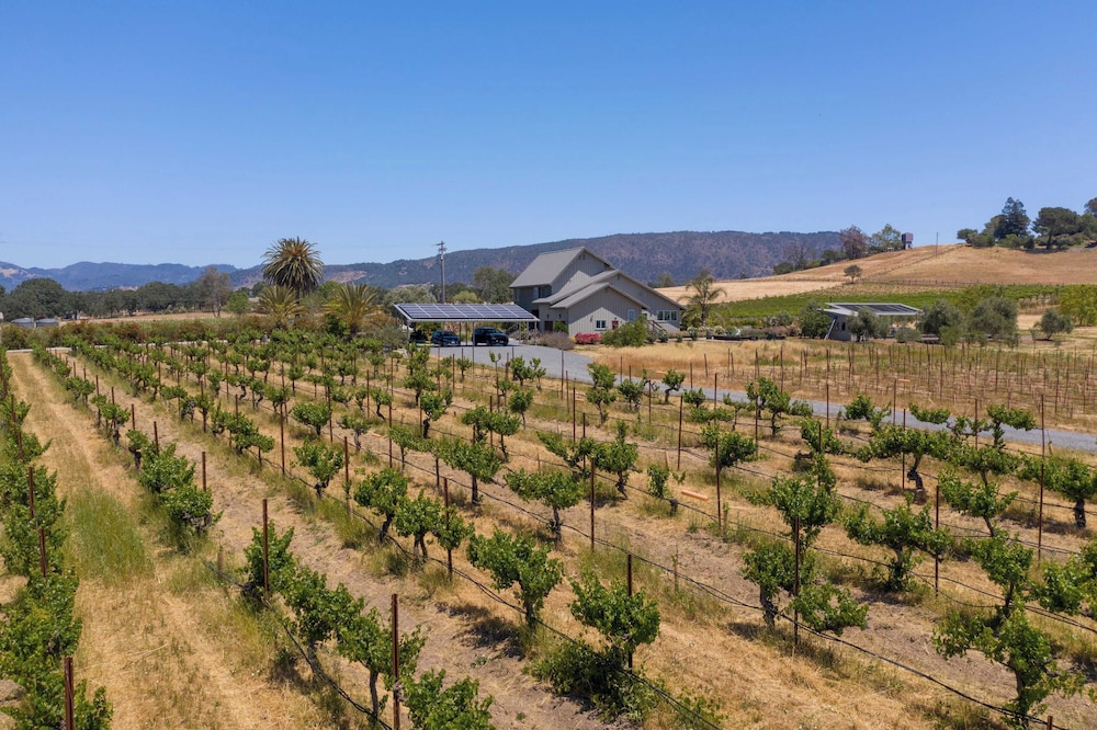Coplan Vineyards by Avantstay 10-acre Estate w/ Pool, Spa, Bocce & Designer Interiors