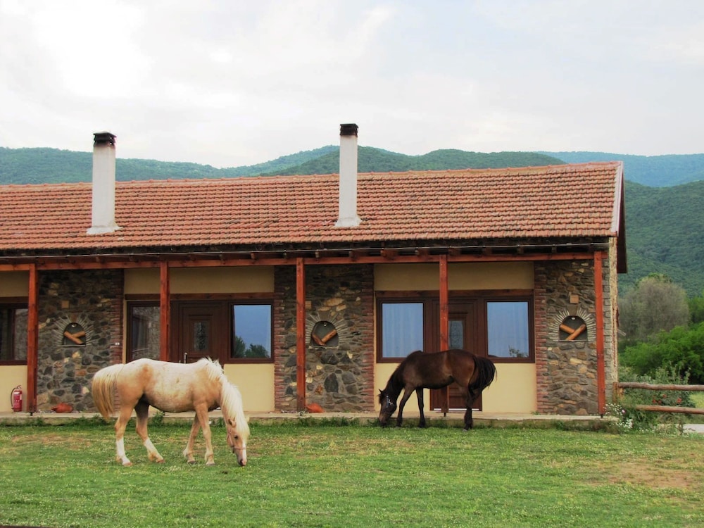 Ixnilatis - Property Image 5