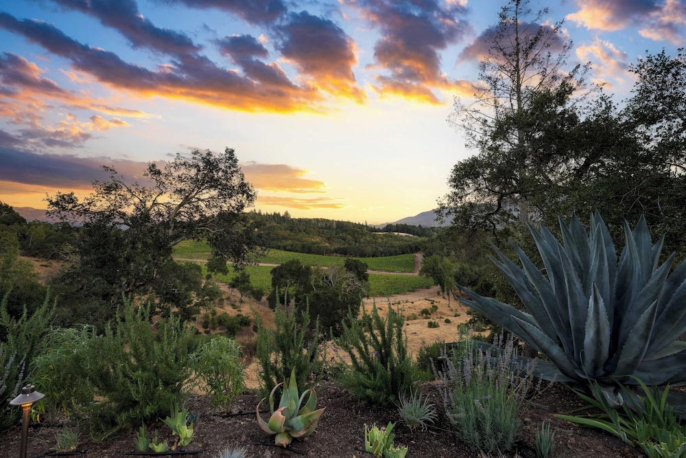 Kenwood Vista by Avantstay 7acres w/ Pool, Fire Pit, Vineyard Views