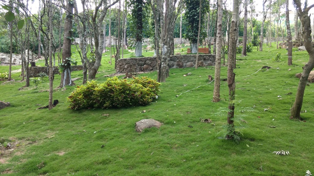 The Brook Resorts & Spa