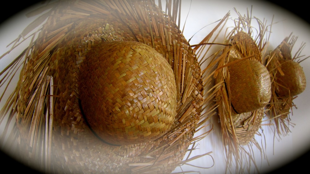 Rarotonga Villas