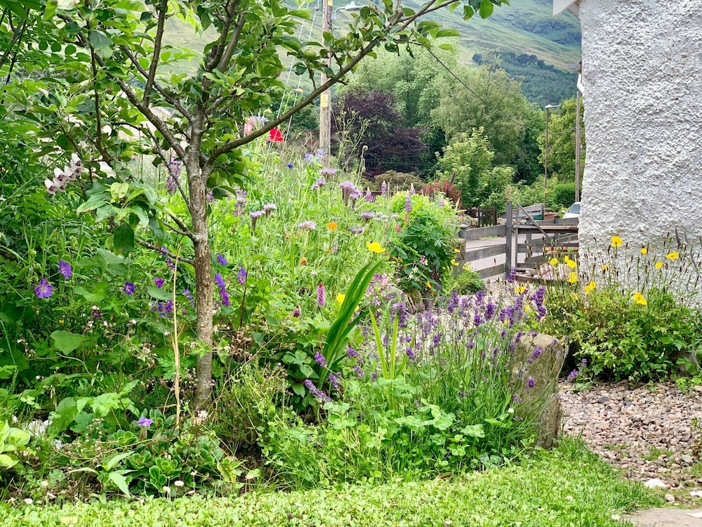 Wester Auchraw Croft B&B