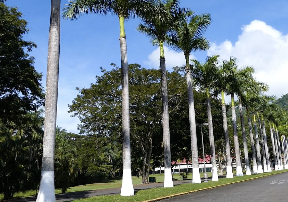 Viva Tambor Villas