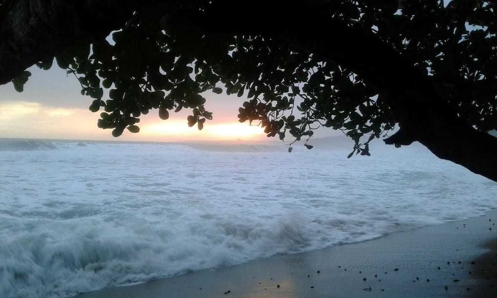 Photo 42