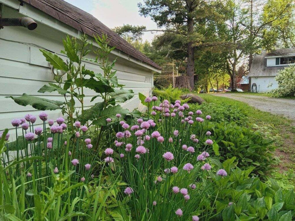 10 Mi To Gore Mountain: Home In Adirondack Park 5 Bedroom Home