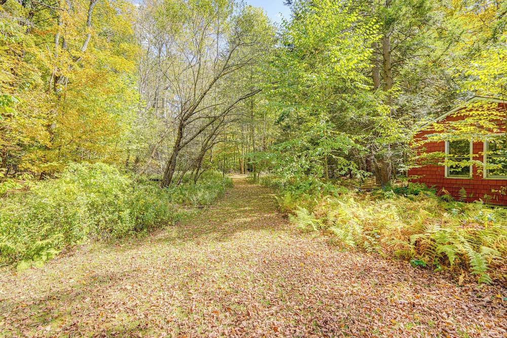 Quiet All-season Creekside Escape in Upstate!