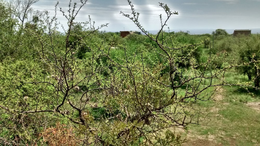Cabaña Tongoy