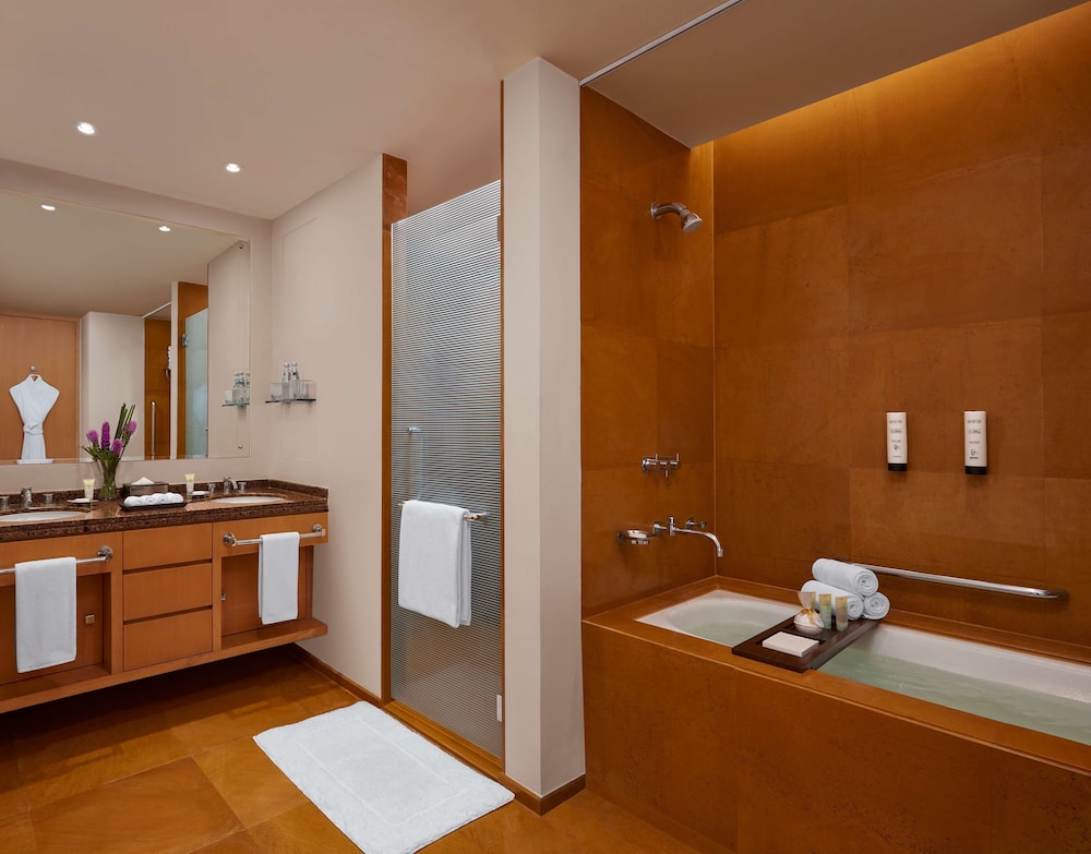 Mumbai Vacations - Grand Hyatt Mumbai Hotel and Serviced Apartments - Property Image 59