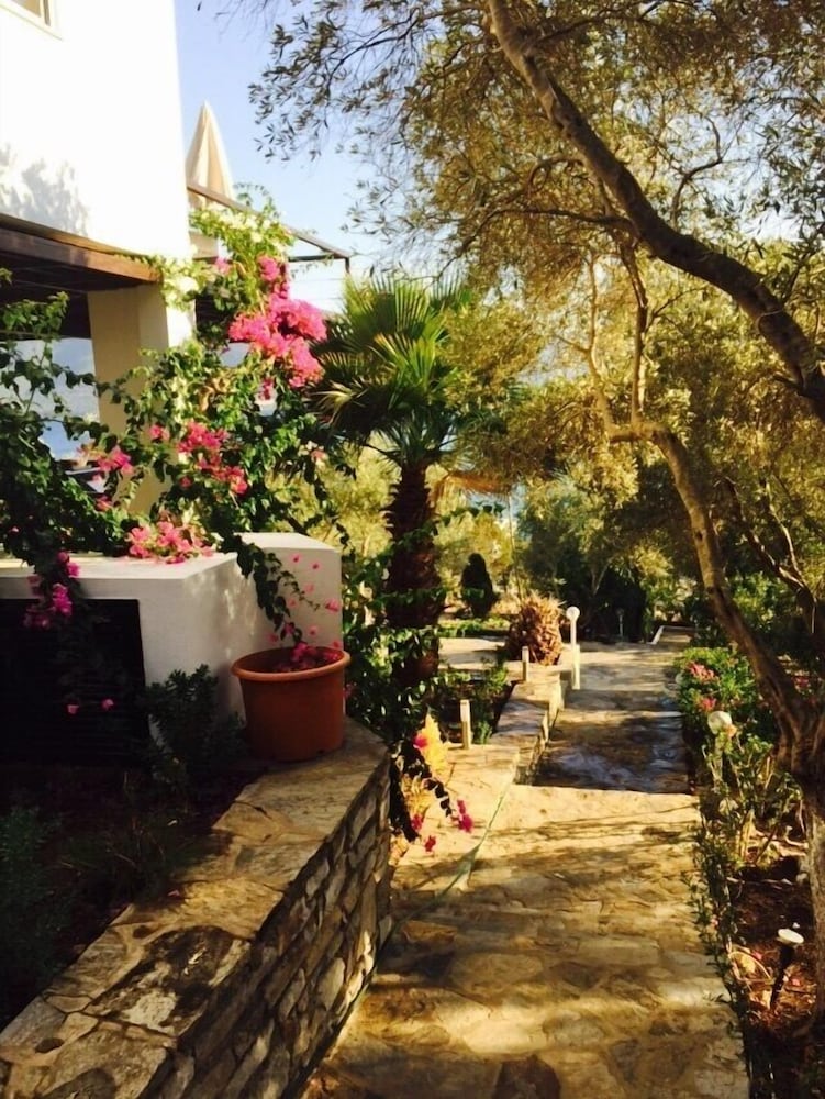 Photo 8