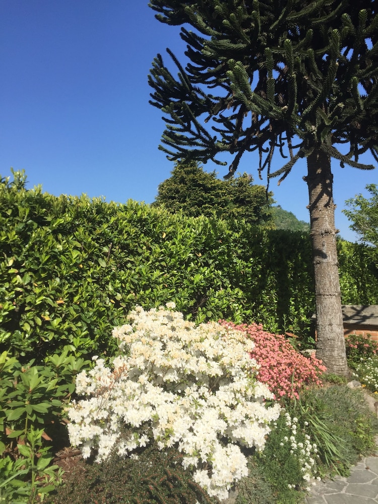 B&B Villa Lavanda