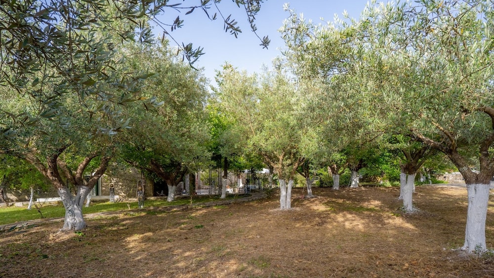 Orestis Stone Apartment for 2 With Garden
