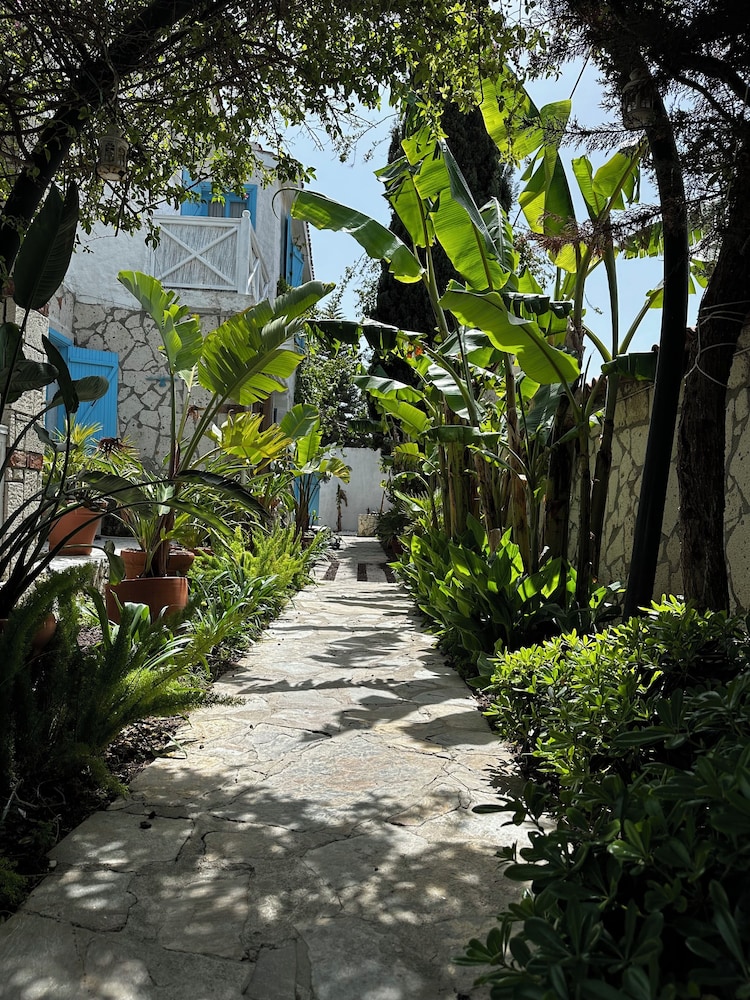 Ala Konak - Image 15