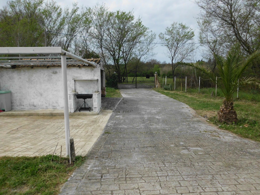Photo 17