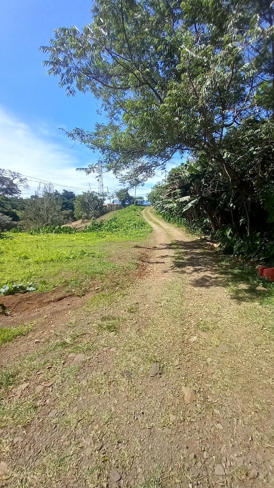 Finca panthera