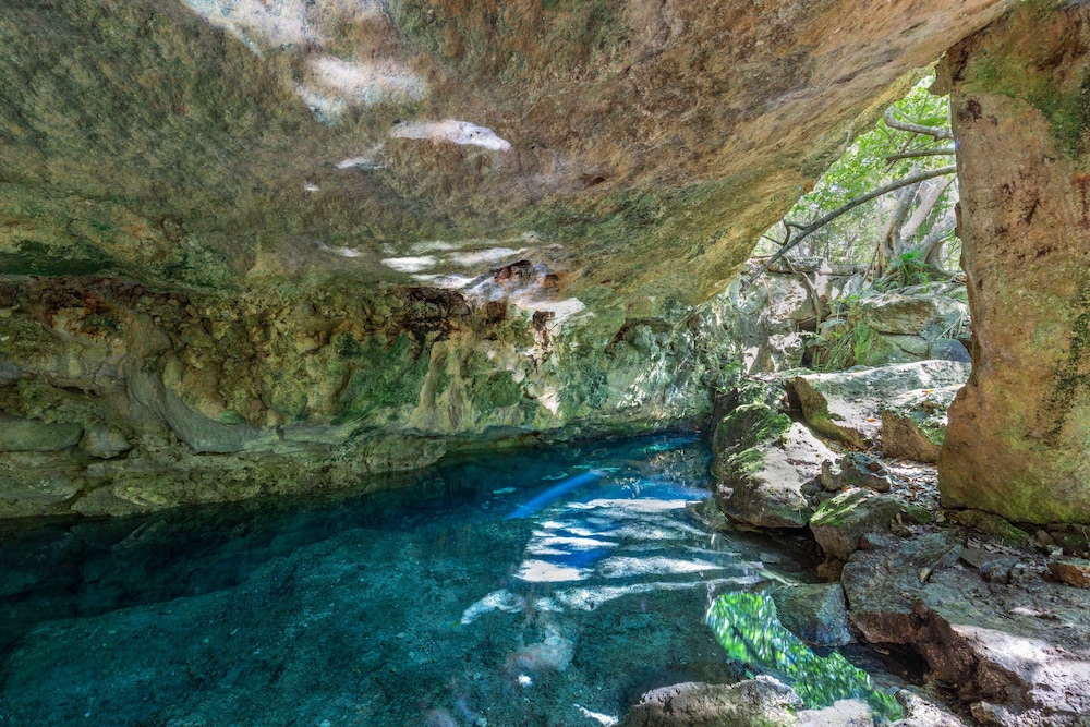 Attha Cenote Luxury Condo - Property Image 110