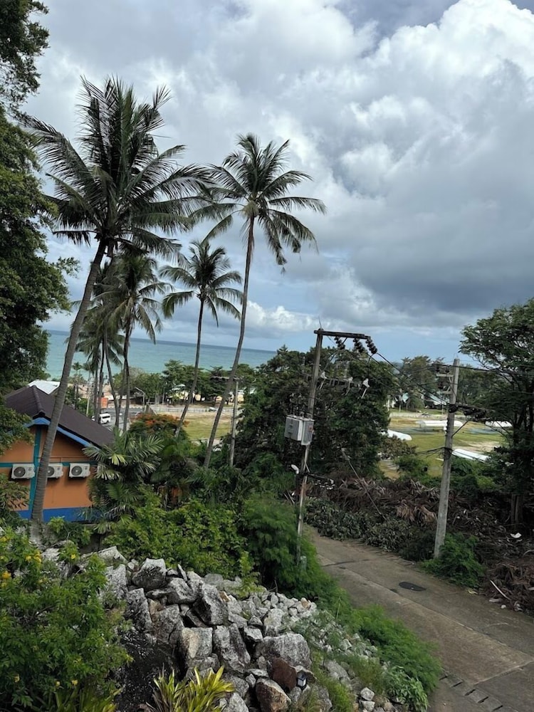 Photo 14