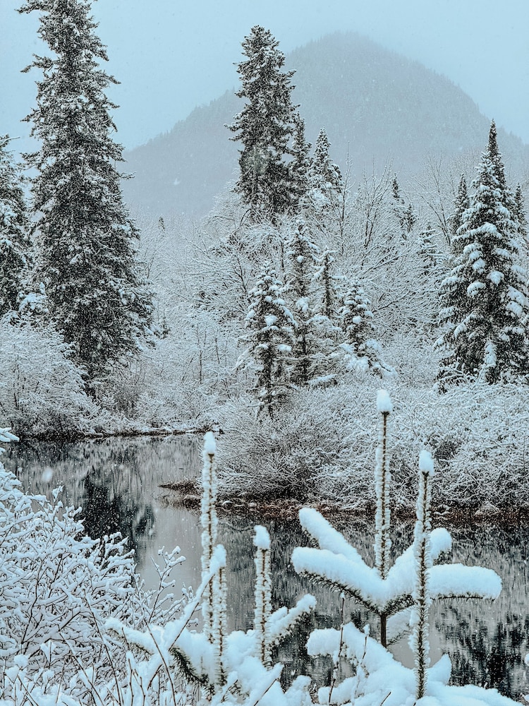 Farouche Tremblant