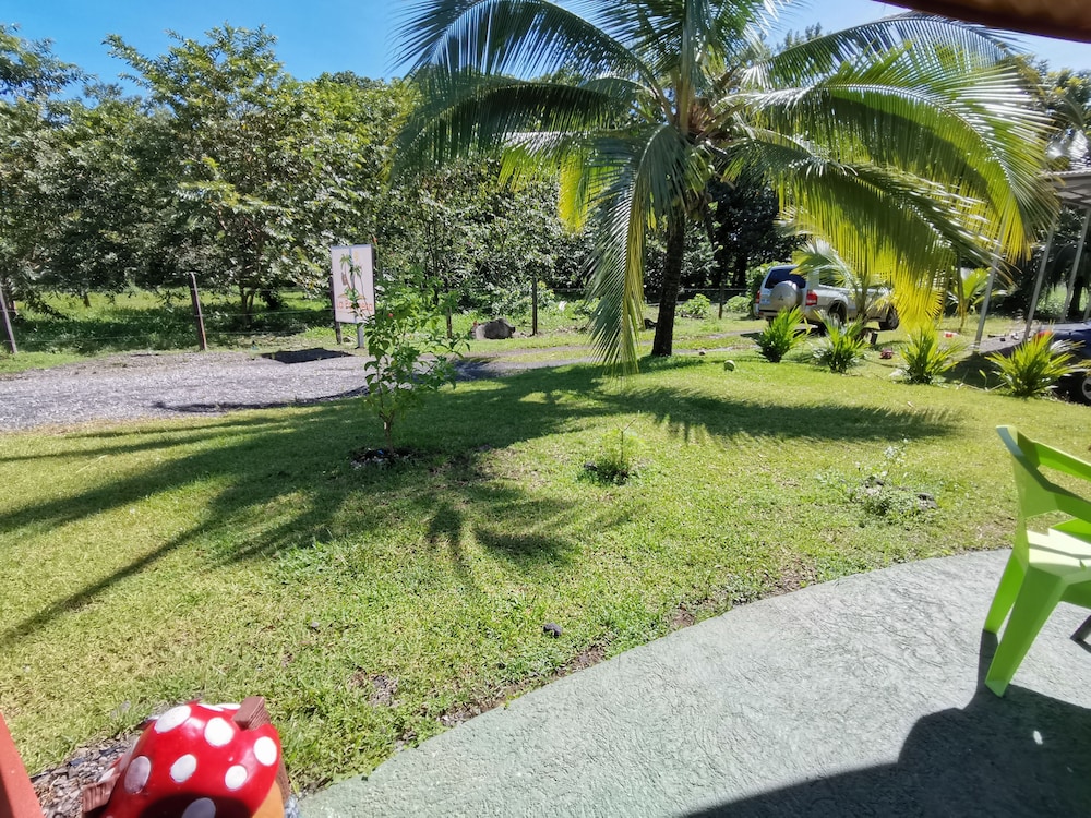 La Palmera Real view 2