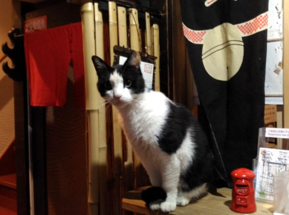 Kyoto Shirakawa Kiraku Inn - Hostel