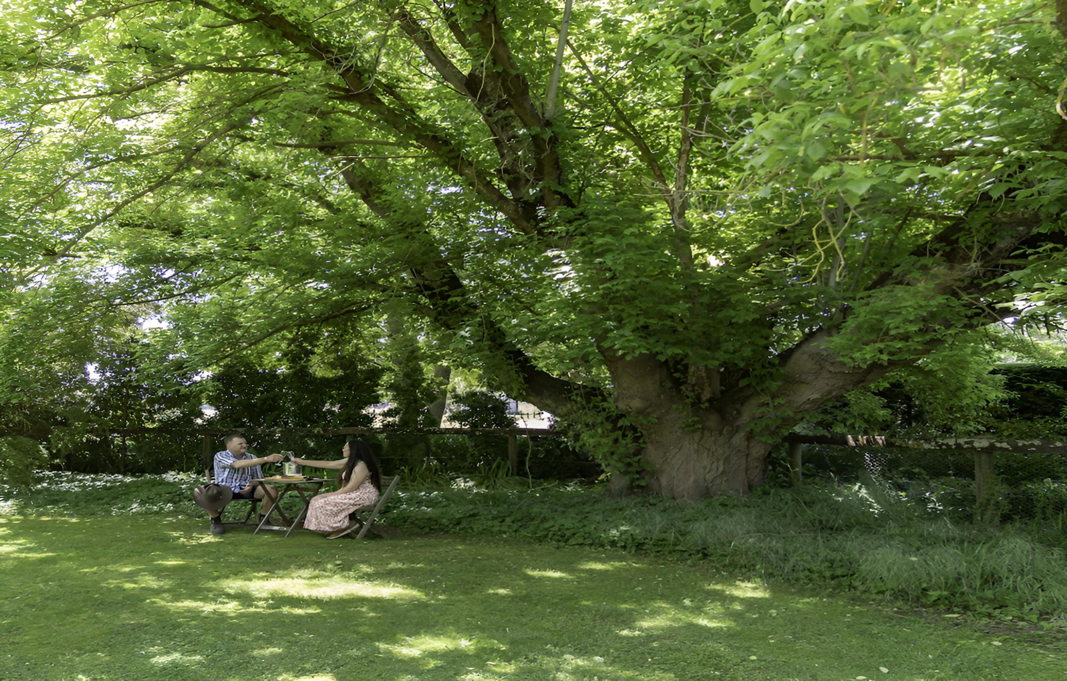 Brookfield Guesthouse