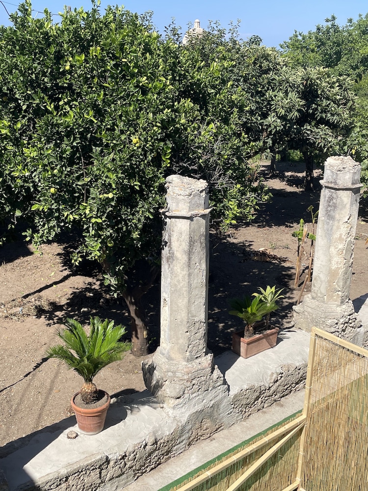 Tenuta La Torre photo 4