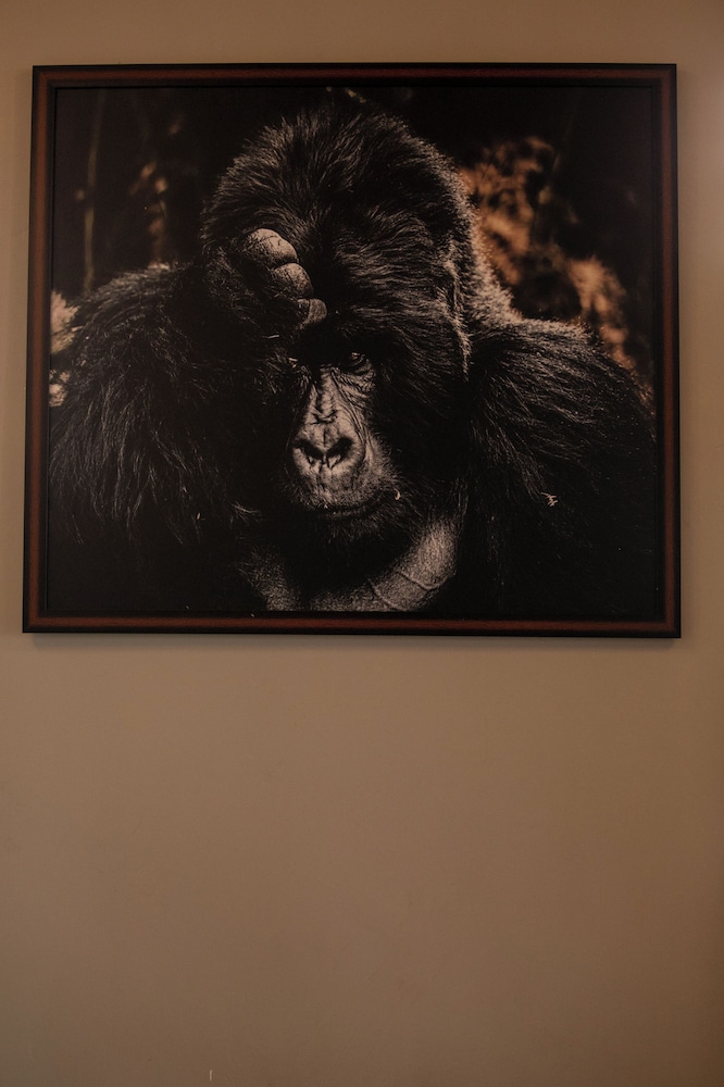 Kaara Gorilla Mountain Lodge
