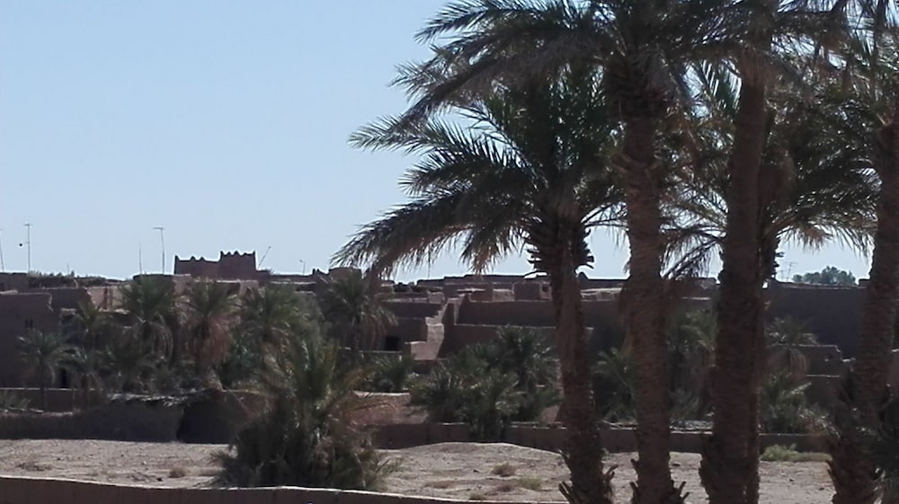 Kasbah Aladdin, photo 22