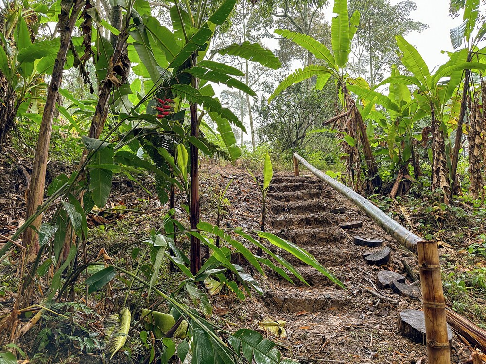 El Nido Andino