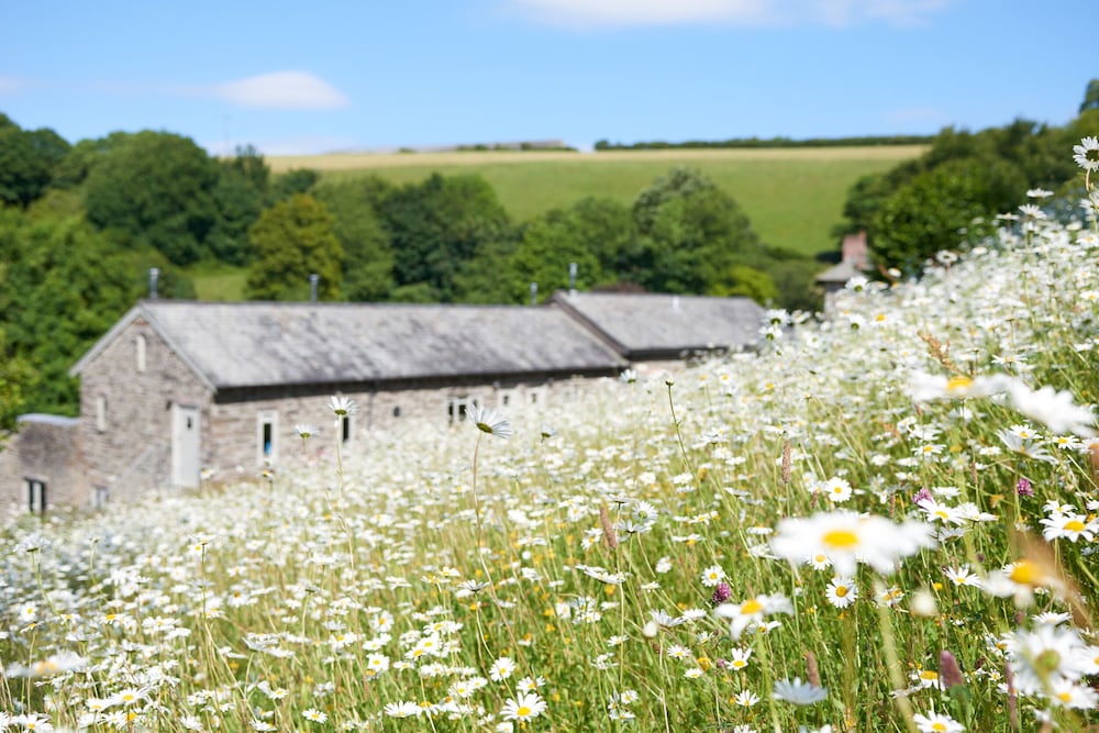 Meavy Cottage