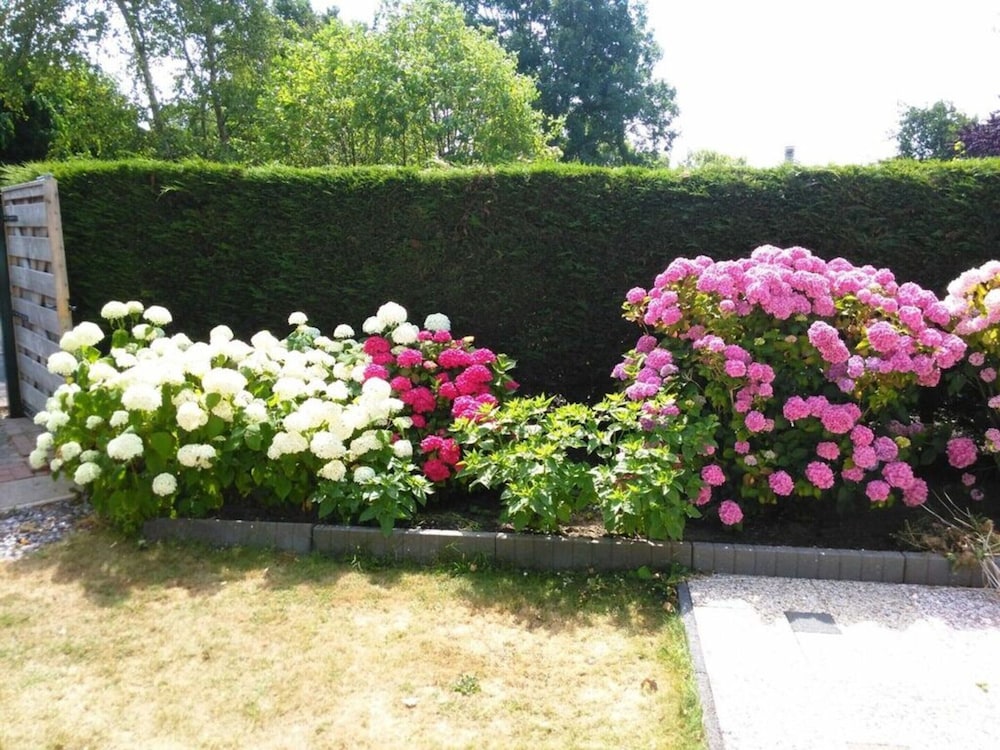 Photo 35
