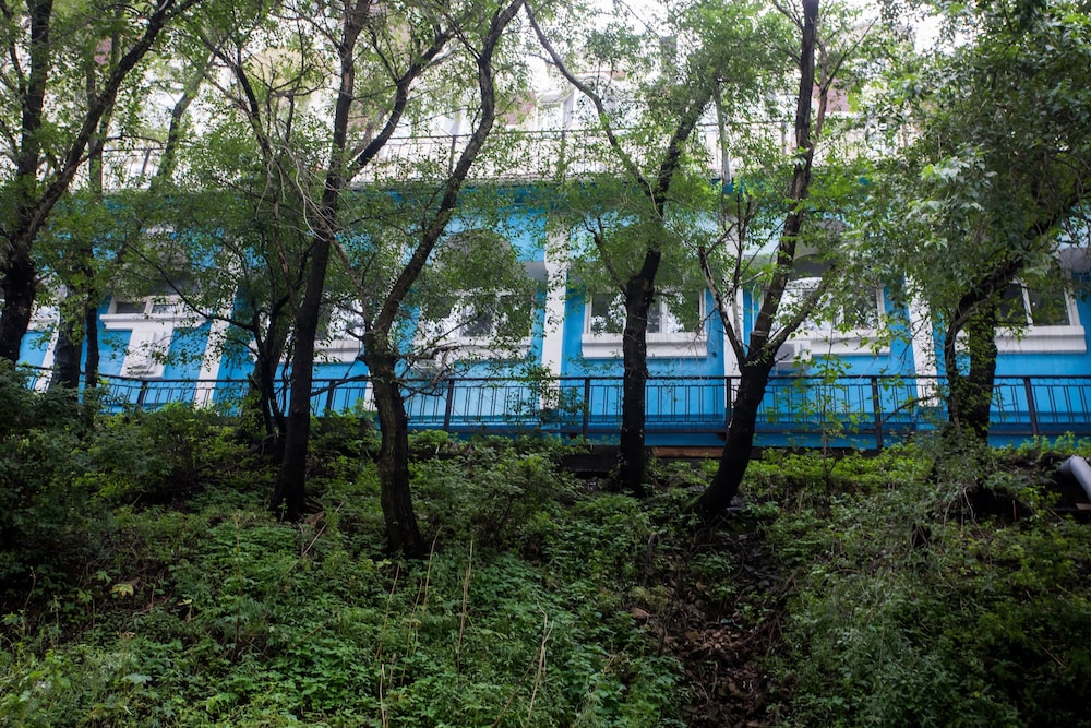 Tiger Hostel