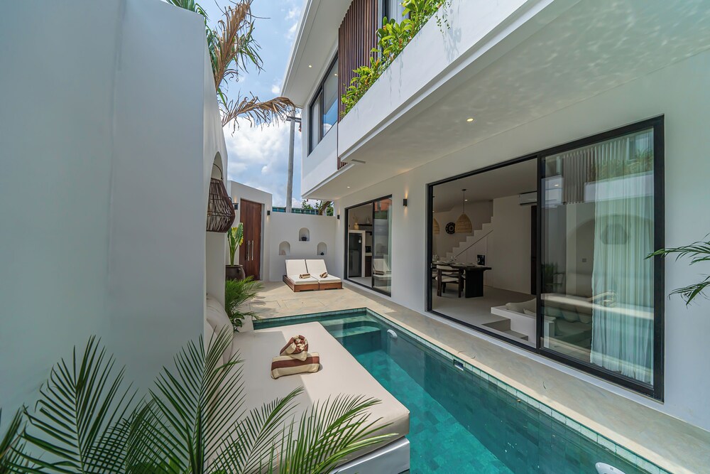Nova Oasis 1