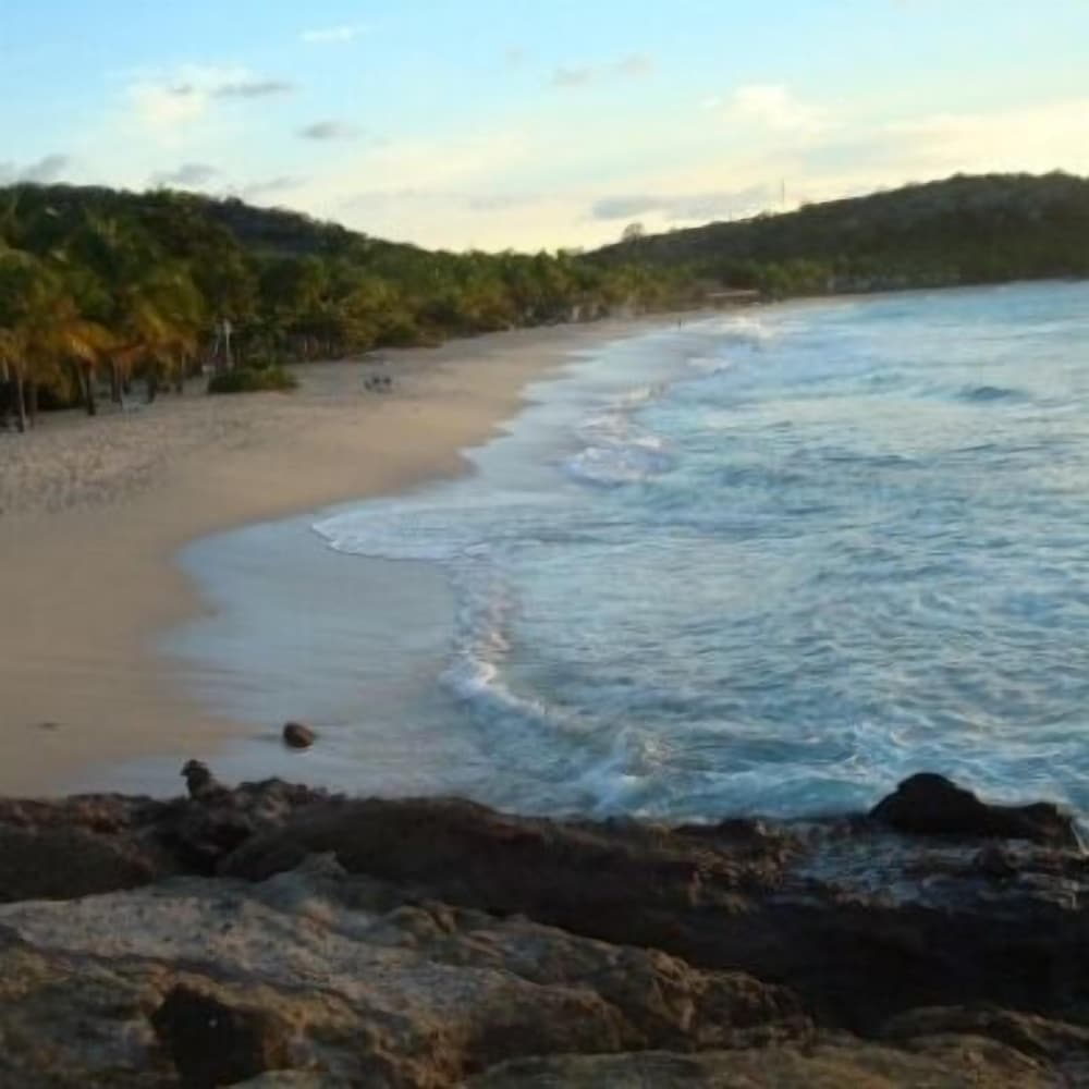 Galley Bay Cottages - Property Image 66