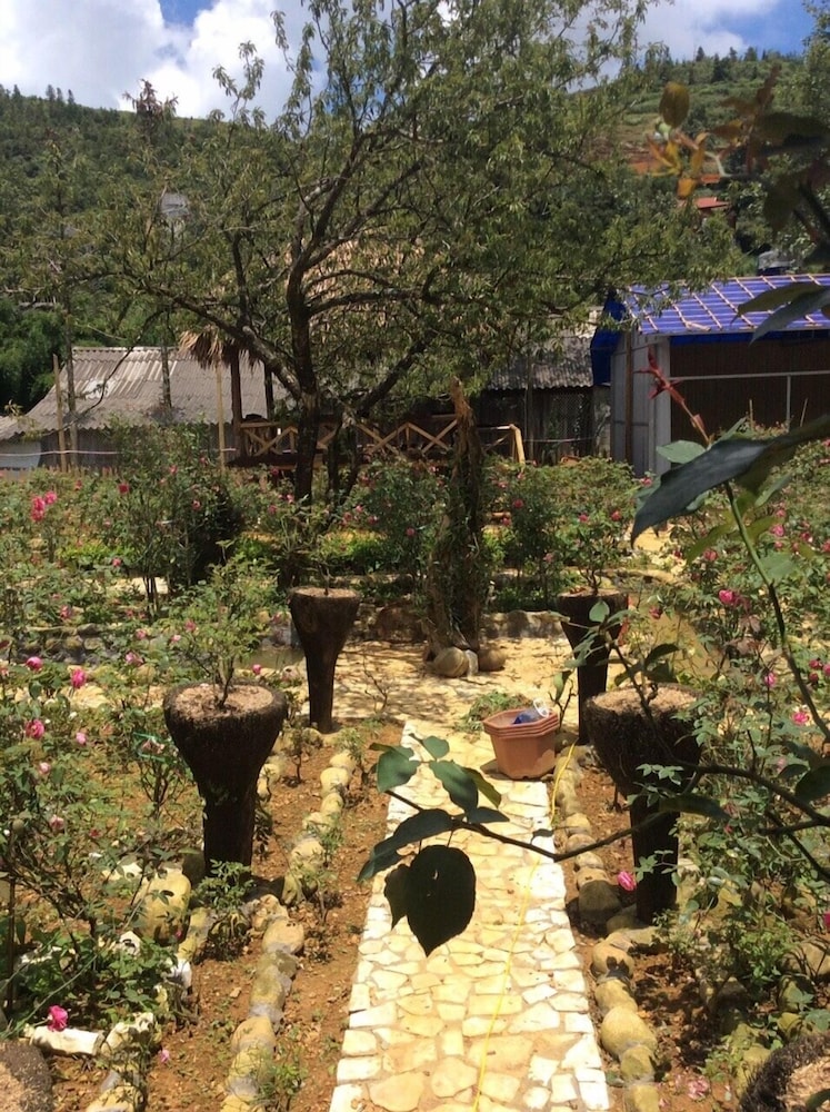 Photo 20