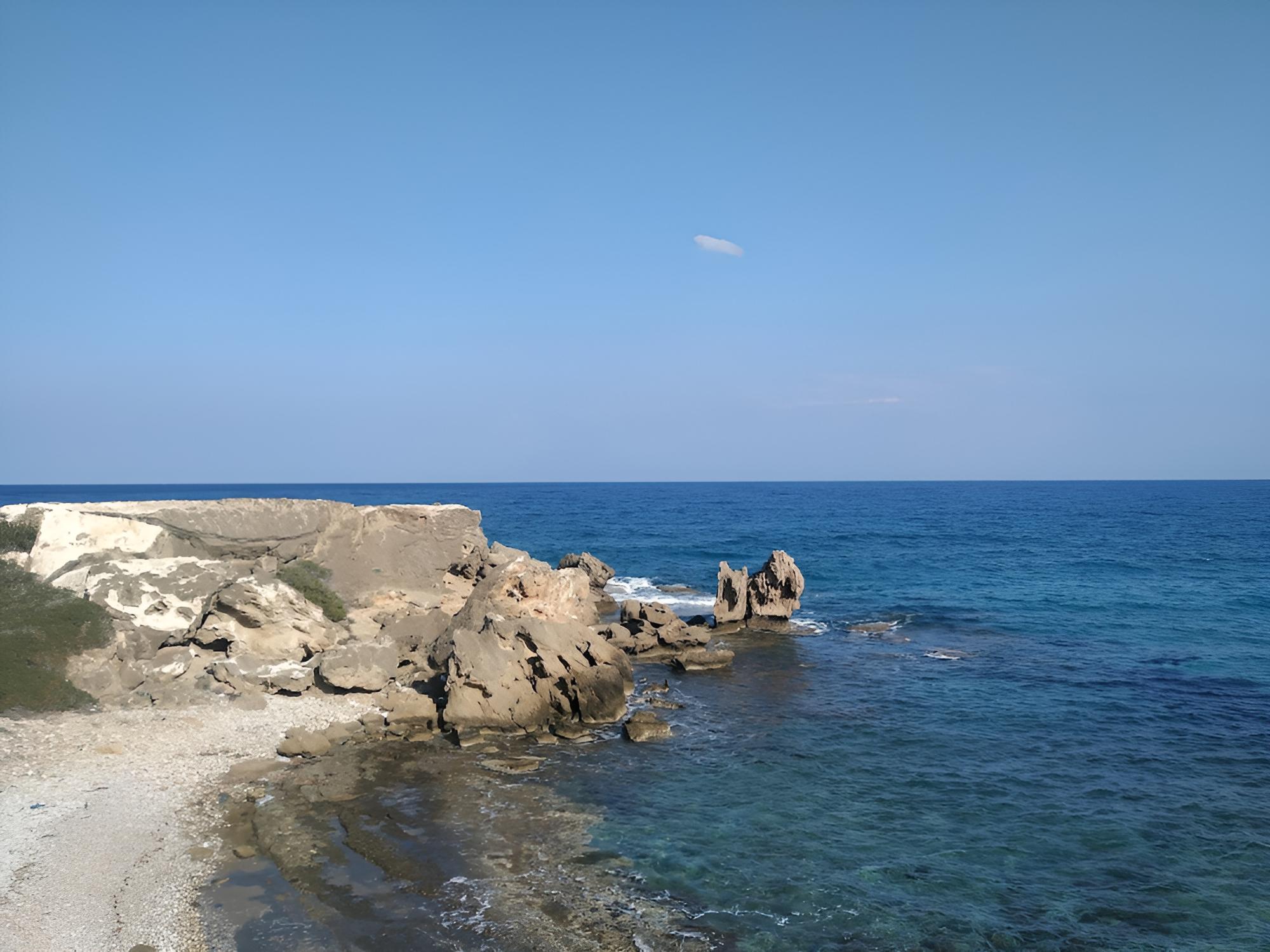 Ardıc Agacı Tatil Köyü