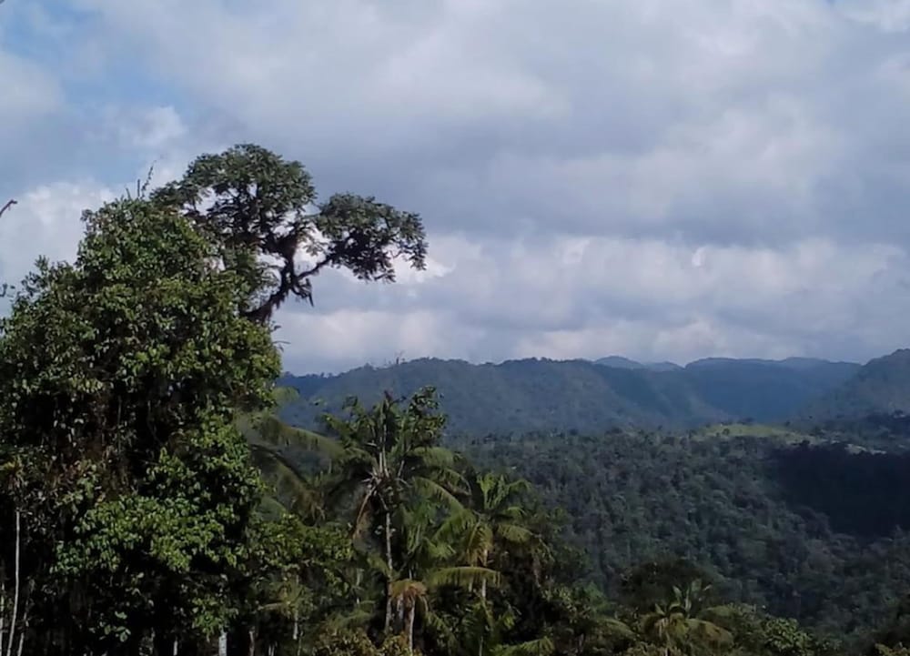 Mindo Eco chalet