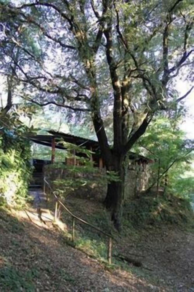 Camping Mas Patxet