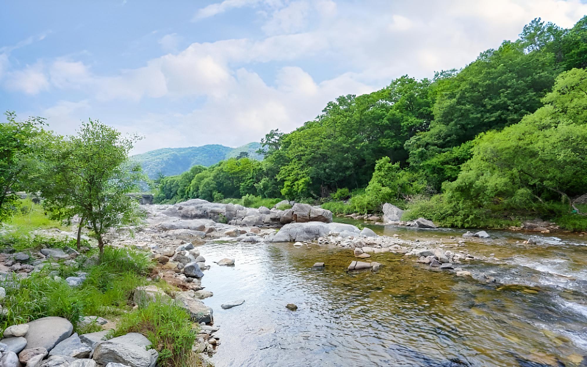 Yangpyeong Mountain Yard Pension view 2