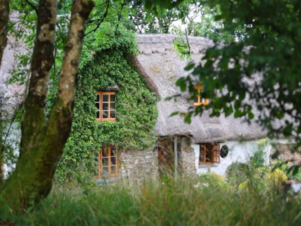 Hay Meadow Farm