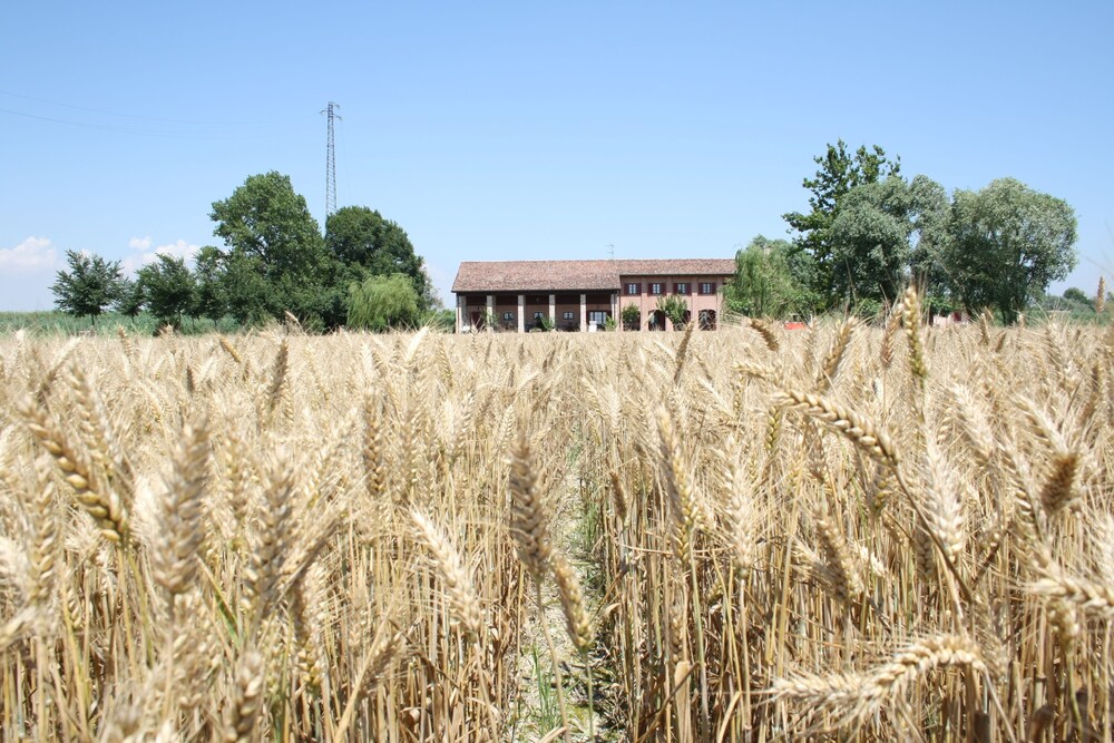 Agriturismo Ca' Lealtà