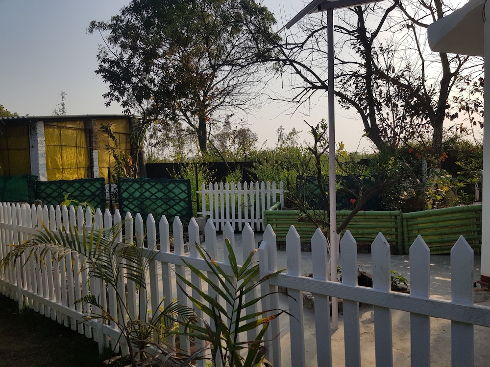 Koko's Farm