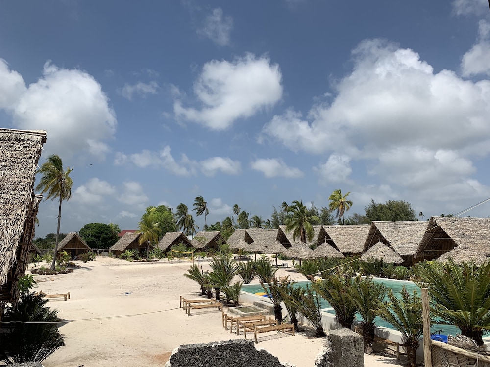 New Jambo Bungalows - Hostel