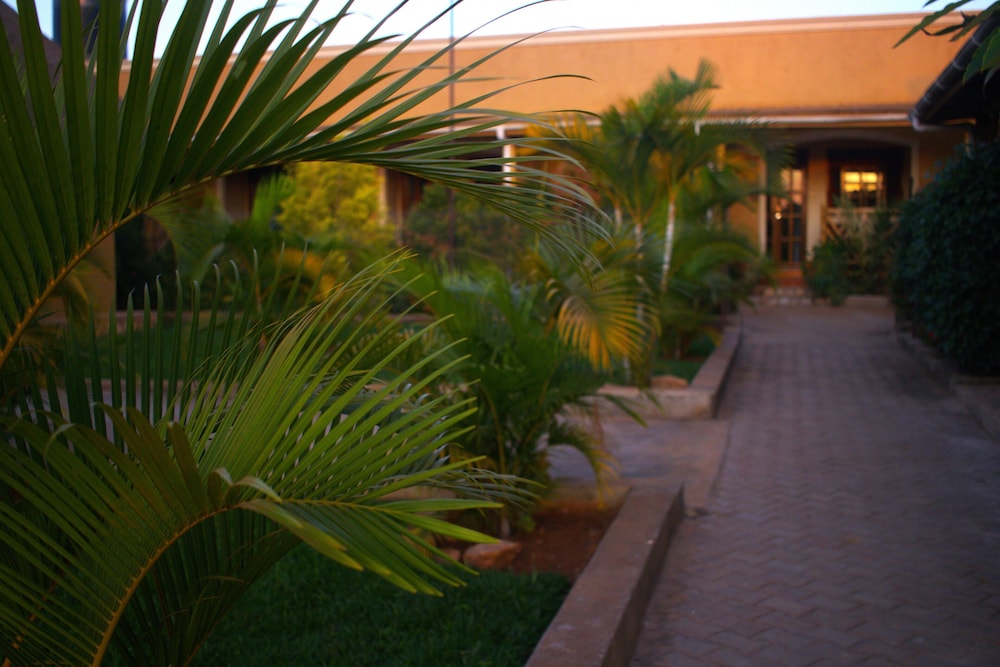 African Roots Entebbe