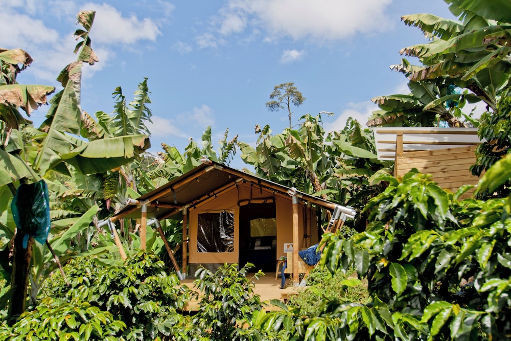 Glamping Jardín