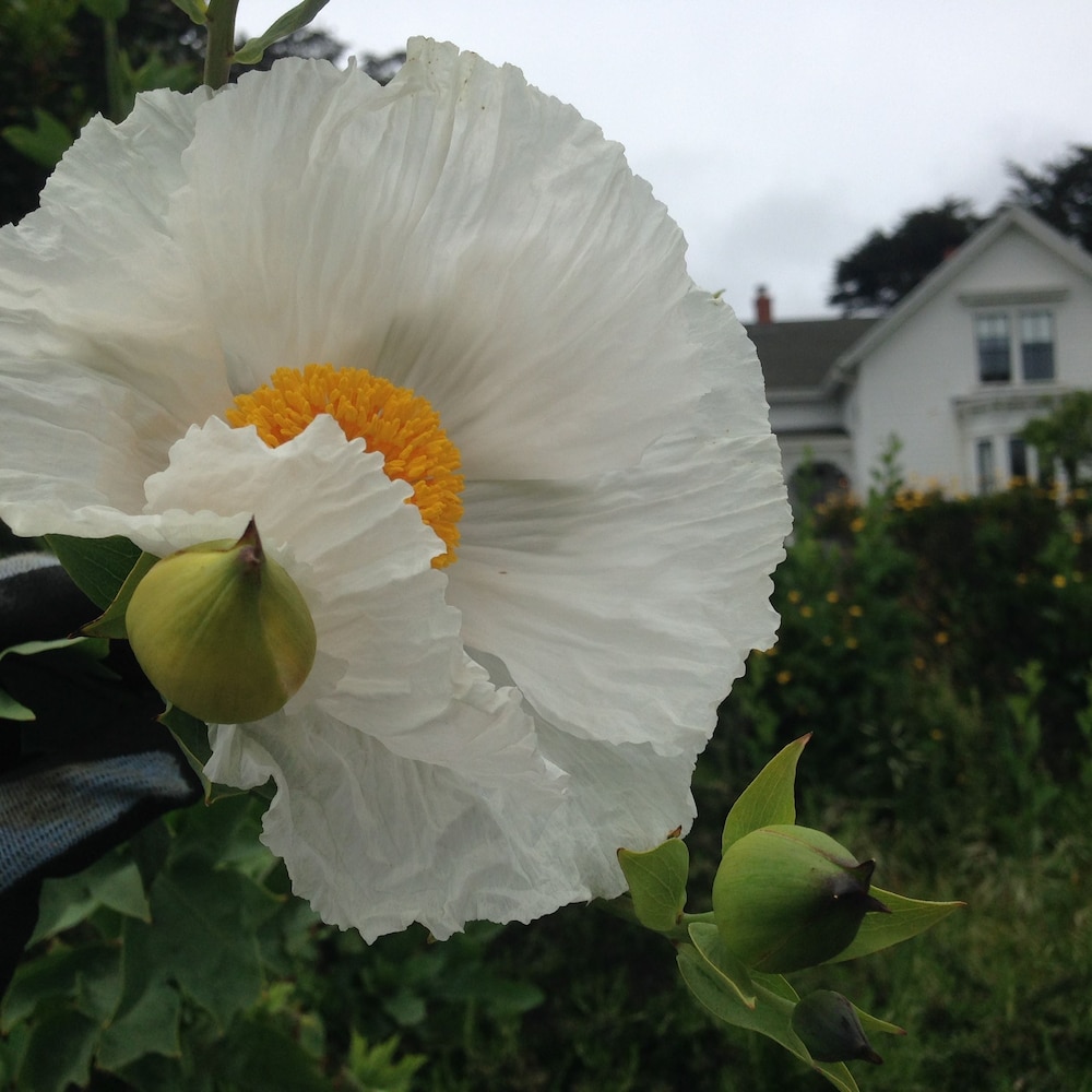 Photo 45