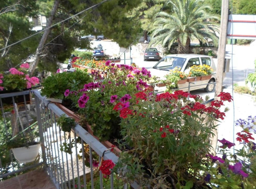 Guest House Sobra 38
