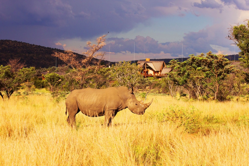 Kololo Game Reserve