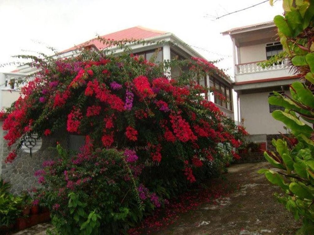 Symes Zee Villa