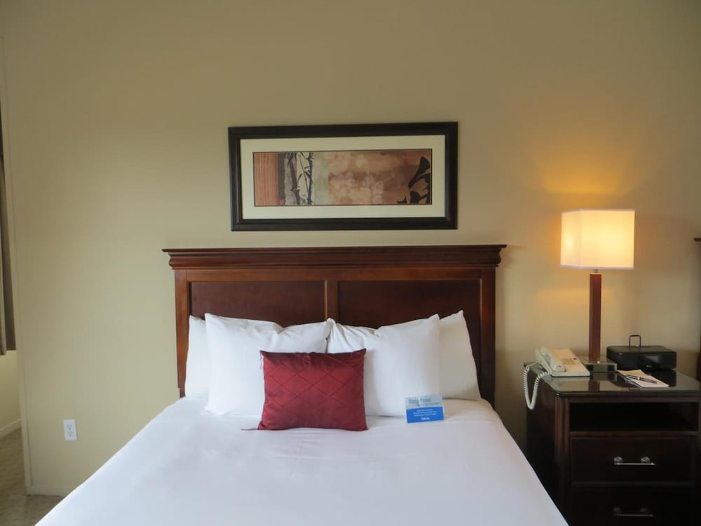 Adobe Inn - Property Image 29